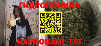 индика Пыть-Ях
