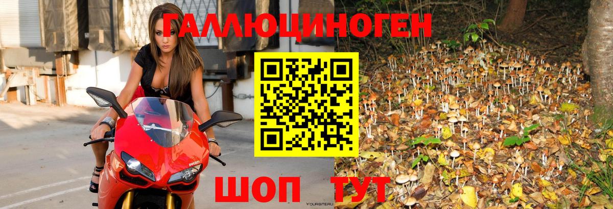 Орск  Псилоцибиновые грибы Magic Shrooms  Вход с VPN 