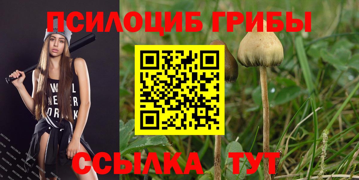 Псилоцибиновые грибы Magic Shrooms Орск